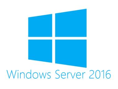 Lenovo Windows Server 2016 10 User Zugriffslizenz (01GU642) 