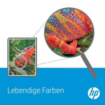 HP 410X Original LaserJet Toner Schwarz High Yield 2-pack 