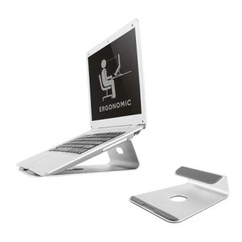 NewStar NS-LS025 - Notebook-Stnder - 43,2 cm (17 Zoll) - Silber (NSLS025) 