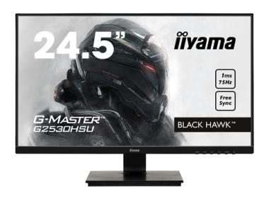 iiyama G-Master G2530HSU-B1 Black Hawk (EEK: E) 