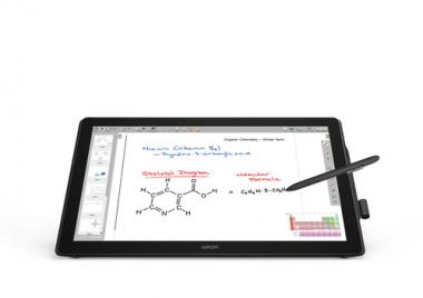 Wacom DTK-2451 pen 