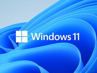 MS 1x Windows 11 Home 64-Bit DVD OEM German (DE) 
