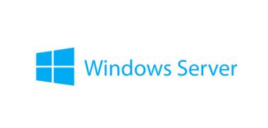 Lenovo Microsoft Windows Server 2019 - Lizenz - 1 Benutzer-CAL - OEM (7S050025WW) 