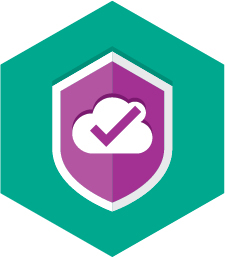 Kasp Security Cloud          5D Mini-Box | Personal Edition 2020 