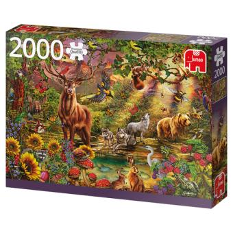 Puzzle Zauberwald bei Sonnenuntergang 