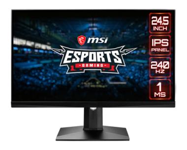 MSI MAG251RX (EEK: B) 