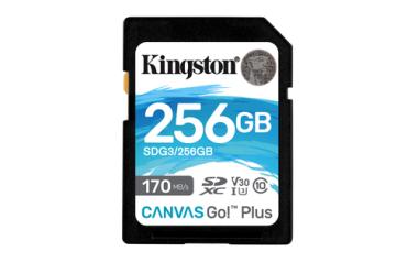 Kingston Canvas Go! Plus - Flash-Speicherkarte - 256 GB - Video Class V30 / UHS-I U3 / Class10 - SDXC UHS-I (SDG3/256GB) 