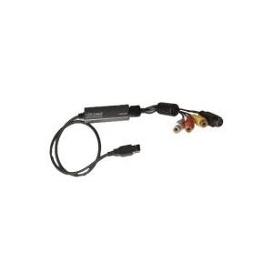 Hauppauge WinTV USB-Live2 - Videoschnittkarte - USB2.0 - NTSC, PAL (01341) 