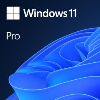 MS 1x Windows 11 Pro 64-Bit DVD OEm German (DE) 