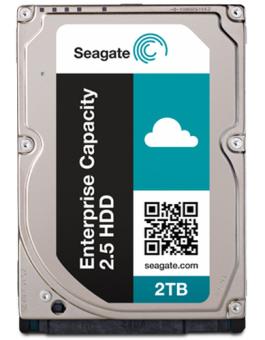 Seag   2TB ST2000NX0263        7200  SAS | Enterprise Capacity 