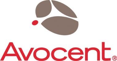 Vertiv Avocent Silver Maintenance and Support - Technischer Support - fr DSView 3 Standard Pack - 1 Hub, 500 Gerte, 1 Spoke - Telefonberatung - 1 Jahr - 12x5 (SCNT-1YSLV-STND) 