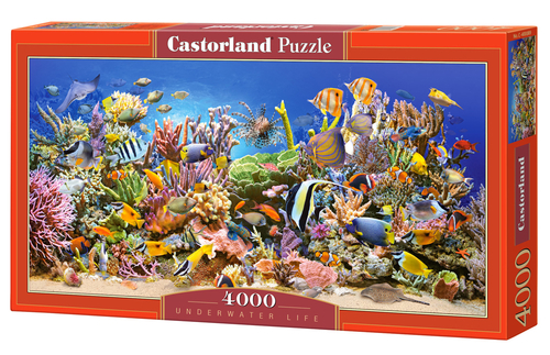 Castorland Underwater life 4000 pcs - Traditionell - Unterwasser - Kinder &amp; Erwachsene - 9 Jahr(e) - Junge/Mdchen - Innenraum (PC-400089) 