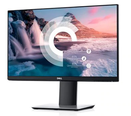 DELL 21,5 L P2219H 
