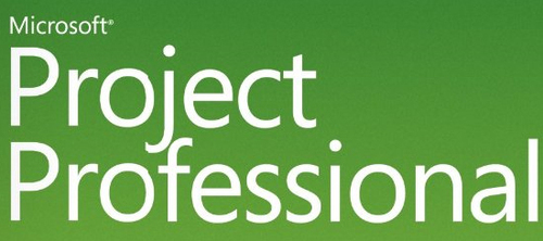 Microsoft Project Professional - Software Assurance - 1 Benutzer - MOLP: Open Business - Win - Single Language (H30-00104) 