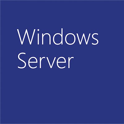 Microsoft Windows Server 2019 - Lizenz - 1 Benutzer-CAL - Offene Lizenz - Single Language (R18-05768) 