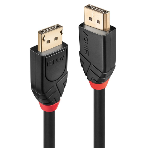 Lindy - DisplayPort-Kabel - DisplayPort (M) bis DisplayPort (M) - DisplayPort 1,2 - 15,0m - rund, 4K Untersttzung, aktiv - Schwarz (41079) 