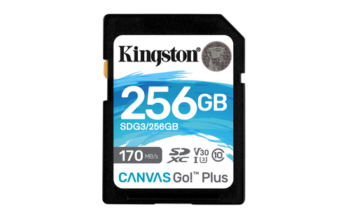 Kingston Canvas Go! Plus - Flash-Speicherkarte - 256 GB - Video Class V30 / UHS-I U3 / Class10 - SDXC UHS-I (SDG3/256GB) 