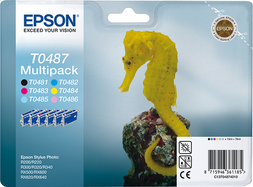 Epson Multipack T0487 - 6er-Pack - 78 ml - Schwarz, Gelb, Cyan, Magenta, hell Magenta, hell Cyan - Original - Blisterverpackung - Tintenpatrone - fr Stylus DX3800, Stylus Photo R200, R220, R300, R320, R340, RX500, RX600, RX620, RX640 (C13T04874010) 