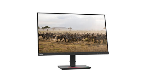 LENOVO ThinkVision S27e-20 68,6cm 27Zoll IPS FHD WLED 16:09 1000:1 250cd/m2 4ms VGA HDMI Topseller 