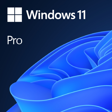 MS 1x Windows 11 Pro 64-Bit DVD OEm German (DE) 