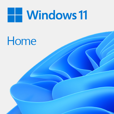 Microsoft Windows 11 Home 64bit (UK) 